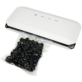 Resim Otomatik Ev Tipi Vakumlama Makinesi 