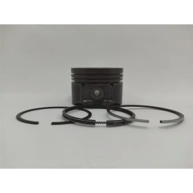 Resim Motokent Piston + Segman Seti ( Std ) : Hatz/1D50 