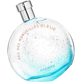 Resim Hermes Eau des Merveilles Bleue - Eau de Toilette 100 ml 