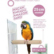Resim Vixpet Venty Büyük Papağan Tüneği 25 Cm 36 Mm / Doğal Ahşap Kuş Tüneği 