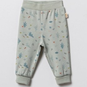 Resim Babycosy Organic Wear %100 Organik Pamuk,2 Li Bebek Alt Pantolon Seti,yenidoğan Ve Bebek Serisi,unisex,patiksiz Krem 