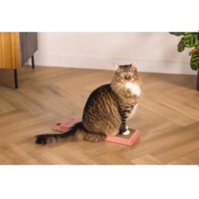 Resim Pembe 45 Cm Kedi Karton Tırmalama 