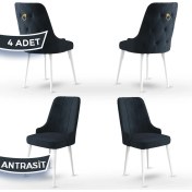 Resim Canisa Concept Enoa Serisi , 4 Adet Sandalye, Beyaz Gürgen Ayak 