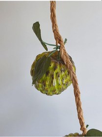 Resim Yapay Enginar - Dekoratif Dal Meyve Sebze 1 Salkım 