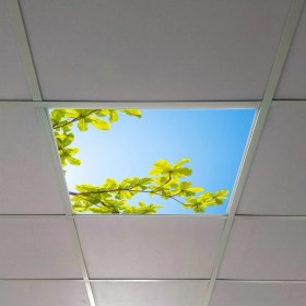 Resim Gök Panel 60X60 LED Panel Aydınlatma Armatür Avize Sıva Altı Desenli Tekli 46510491SA 