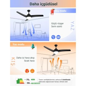Resim Dlc Favonıo LED Tavan Vantilatörü Siyah 132 cm 