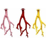 Resim Kardelen Dal Kuş Tüneği Kuş Oyuncağı 