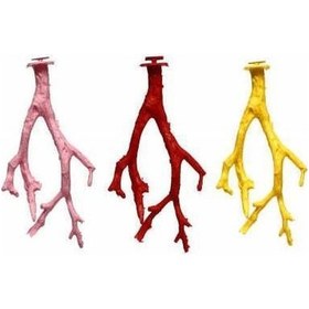 Resim Kardelen Dal Kuş Tüneği Kuş Oyuncağı 