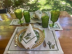 Resim Kaktüs Amerikan Servis 2'li 