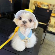 Resim 3'lü Set, Evcil Köpek ve Kedi için İlkbahar ve Yaz Göğüs Çekiş İpi Güneş Şapkası, Yavru Köpek Güneş Şapka Göğüs Çekiş Takımı, Küçük Köpekler İçin 