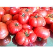 Resim Tohhum Ankara Ayas Domates Tohumu 50+ Tohum 