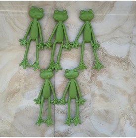 Resim Fochsia Yeşil 5 Parça Kurbağa Bitki Askılığı Raf Seti 