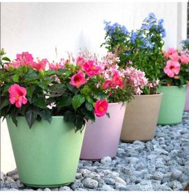 Resim Ribeira 50 Plastik Saksı Kahverengi 