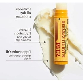 Resim 2'li Doğal Lip Balm Seti Balmumu + Vanilya 