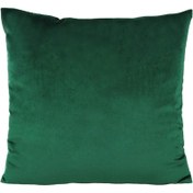 Resim 1 adet Yeşil Mercan Kadife Yastık Kılıfı, 45.72x45.72 cm Kısa Toplu Mikrofiber, Çift Taraflı Baskı, Fermuarlı Makine Yıkanabilir - Koltuk, Sandalye, Yatak, Araba, Oturma Odası, Ofis Dekoru için İdeal (İçerik Dahil Değildir), Oturma Odası Dekoru|Mercan Dokusu|Fermuarlı Yastık Kılıfı, Dekoratif Yastıklar 
