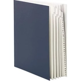 Resim Tech Butiq Masa Dosyası/sıralayıcı, Günlük (1-31), 31 Bölücü, Mektup Boyutu, Koyu Mavi (89294) 