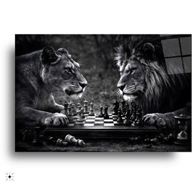 Resim Aslan ve Dişi Aslan Satranç Cam Tablo - 70*110 cm 