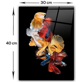 Resim Cam Tablo Beta Balıkları 30cm X 40cm 