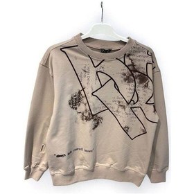 Resim Carinos Erkek Çocuk Delights Yazılı Sweat-15185 Vizon 