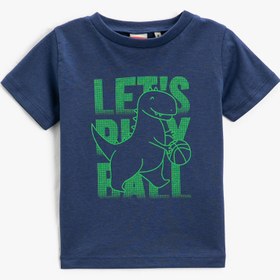 Resim Erkek Bebek Dinozor Baskılı Kısa Kollu Tişört Bisiklet Yaka 