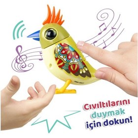 Resim Digibirds Tekli Paket Seri 2 - Model 4 