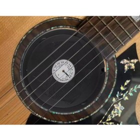 Resim Flanger Fh-10 Gitar Nemlendirici Hygrometre 