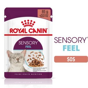 Resim Royal Canin Sensory Feel Gravy Pouch Kedi Yaş Maması 85 Gr 
