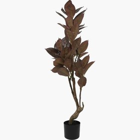 Resim Saksılı Meşe Ağacı 120cm 