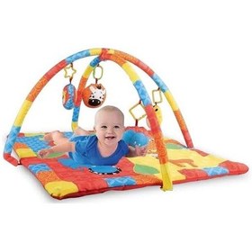 Resim Aktivite Minderi Oyuncak 