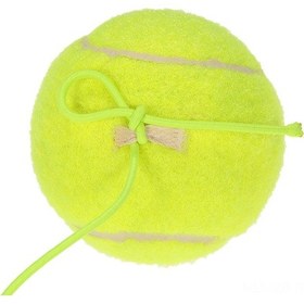 Resim Geeroyoo Spor Ve Eğitim İçin İp Bağlantılı Tenis Topu - Köpekler İçin Eğlenceli, Taşıması Kolay Ve Dayanıklı 
