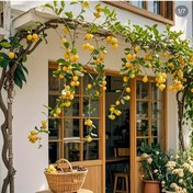 Resim 1 adet 177.8cm Gerçekçi Yeşil Yapraklı ve Sarı Limonlu Yapay Limon Asma - Ev, Bahçe, Partiler, Şömine, Patio için Dekoratif Sahte Bitki - Bakımı Yok, Dayanıklı Plastik, Limon Mutfak Dekoru 