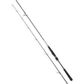 Resim Daiwa Saltist Seabass Bf 244cm 7.28gr 2p. Olta Kamışı 