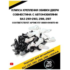 Resim Autorus63 Otomotiv Bağlantı Klipsi 30 Adet 269047811 