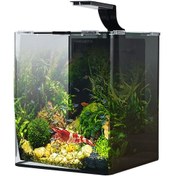 Resim Anubias Shrimp Nano Akvaryum Set Siyah 29x29x35 Cm 