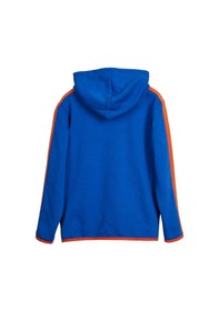 Resim Bad Bear Darrel Full-zip Saks Mavisi Çocuk Kapüşonlu Sweatshirt Parlement Mavisi Saks Mavi 