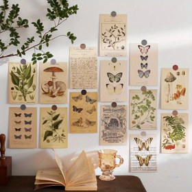 Resim 10 adet Vintage Botanik Postkarti Seti - Eğitici Biyoloji Serisi, Kelebekler, Bitkiler ve Mantarlar ile Doğa Eğilimli İllüstrasyon Sanat Kartları, Ev, Ofis ve Yurt Dekoru için İdeal, Doğa Eğilimli Dekor|Doğa Eğilimli Estetik|Antika Estetik, Botanik İllüstrasyonlar, Oda Dekoru için Mükemmel 