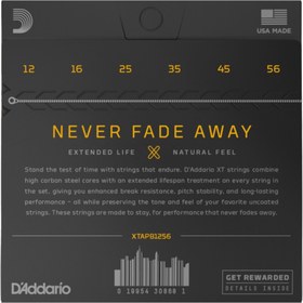 Resim D'Addario XTAPB1256 XT Phosphor Bronze Akustik Gitar Teli - Light/Medium (12/56) 