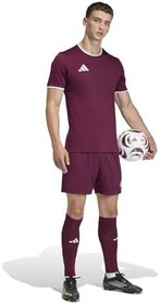 Resim adidas Entrada26 Shorts Şort Erkek 