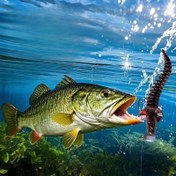 Resim 14 adet Samba Önlük Kuyruk Yemi Yumuşak Yem Spiral Işık Dansı Solucanı Balıkçılık için Özel Tasarlanmış Siyah Pit Perç ve Tilapia ile Yüzen Yapay Yem. 
