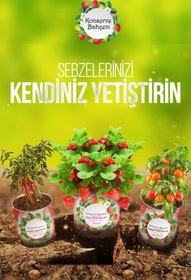 Resim EASERA TİCARET Easera ticaret® Konserve Bahçem Evde Konservede Kolay Ispanak Yetiştirme Kiti 