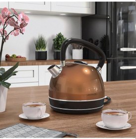 Resim Retro Su Isıtıcısı 1.7l, 2200w, Kireç Filtresi, Paslanmaz Çelik, Otomatik Kapanma 