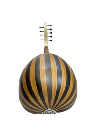 Resim Eğitimlik Zenne Ud Kaliteli Öğrenci Üst Kalite 