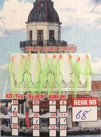 Resim Çapari İstavrit Kolay Açılır 10 İğne Renk 68 