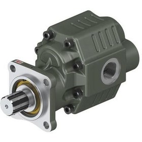 Resim 30 Serisi İSO Dişli Pompalar 