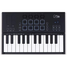 Resim Blackstar Carry-On FC-25 25 Tuşlu Taşınabilir & Katlanabilir Midi Klavye (Siyah) 