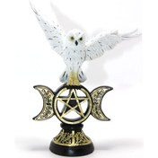 Resim Polyester Baykuş 