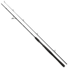Resim Penn Wrath 274 Cm 30-60g Atarlı Karbon Spin Olta Kamışı 