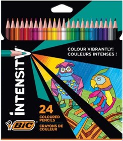 Resim Bic İntensity Kuru Boya Kalemi 24 Renk 