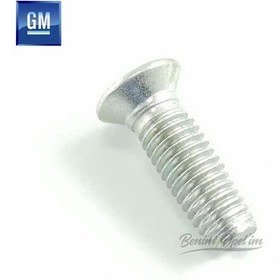Resim Opel Oval Başlı 12 Dişli Civata M6x12 Kapı Kilit Civatası 