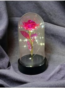 Resim Lapidaria Fanus Içerisinde Dekoratif Peri Led Işıklı Pembe Solmayan Sonsuzluk Gülü Lamba Ve Anka Kuşu Kolye 